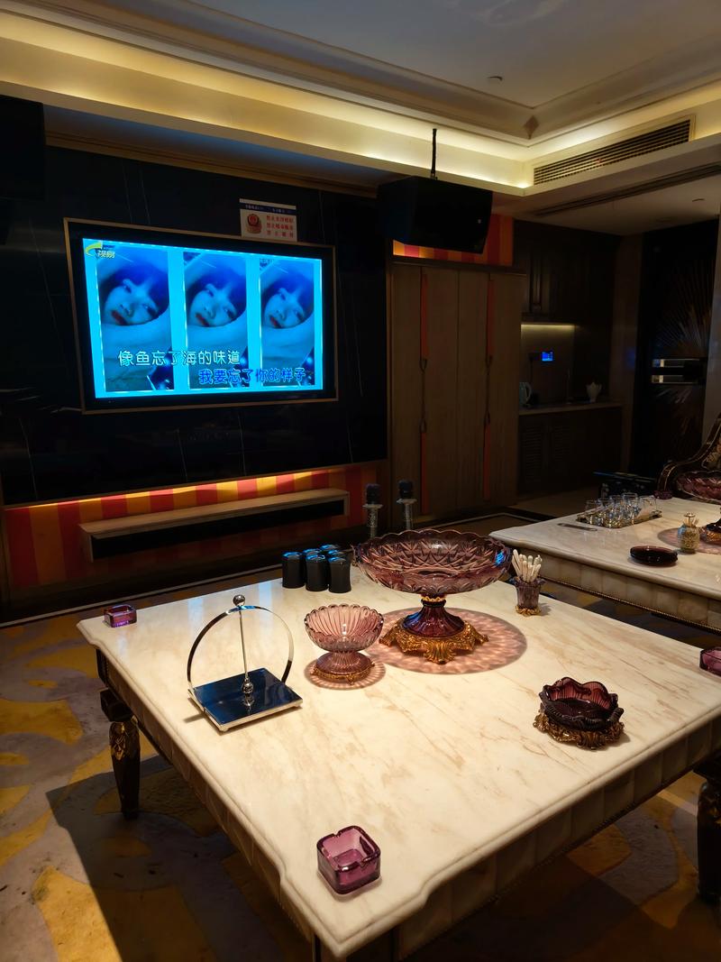 定西商务ktv怎么样服务与环境详解-漳县ktv预订